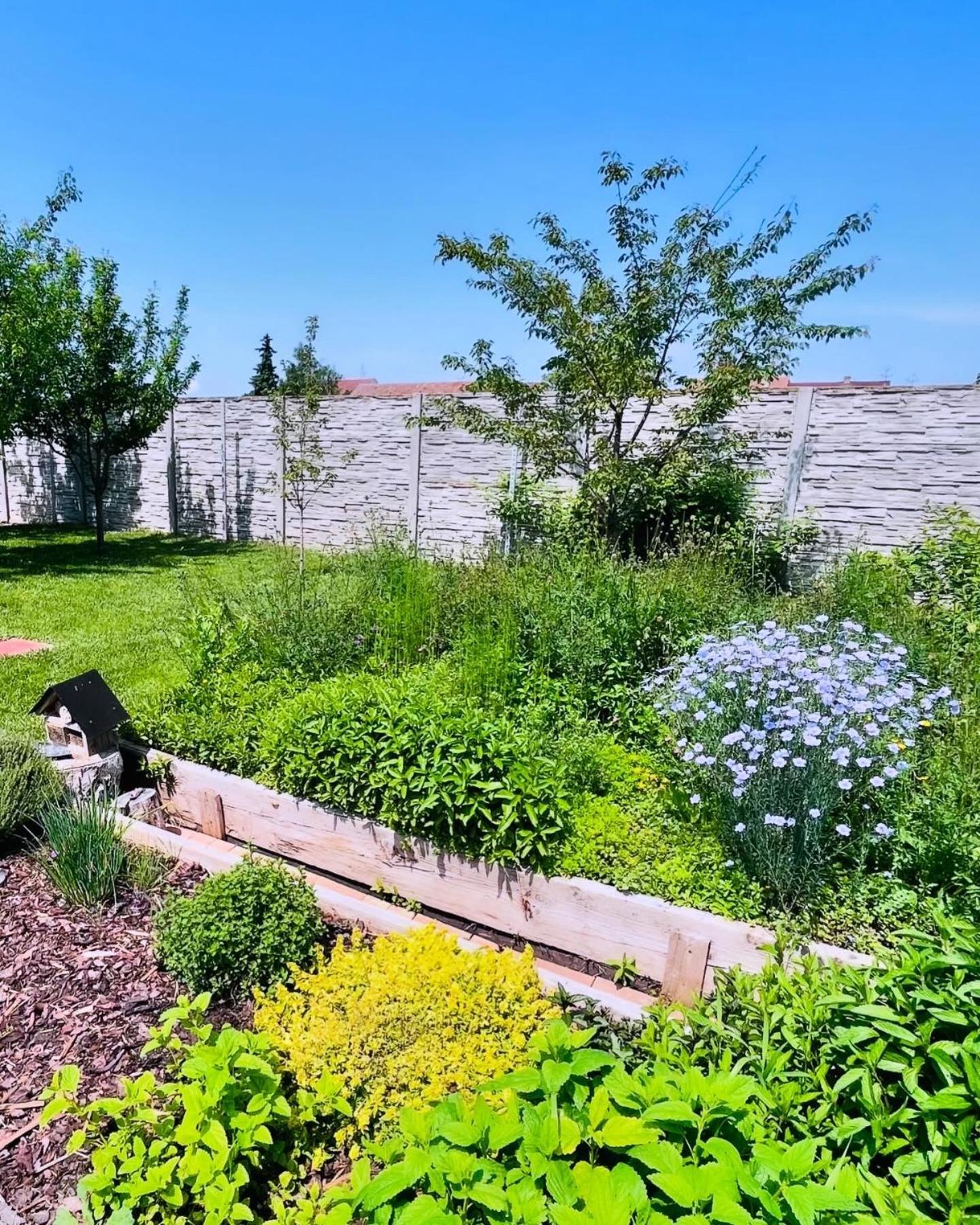 Apartmány na Zahradní Břeclav Exterior foto